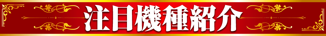 パチンコ/スロット: オーギヤ彦根店 画像 16