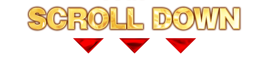 パチンコ/スロット: スタジアム2001徳島鴨島店 画像 5